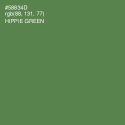 #58834D - Hippie Green Color Image